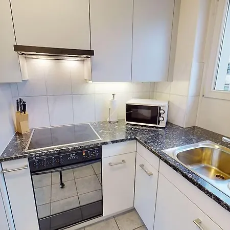 Daire 1 Bedroom Flat Center Near - D7 Zürih